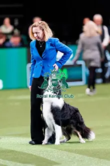 D-C-D-0-1-9-0 Crufts 2024 NEC Birmingham Day 3