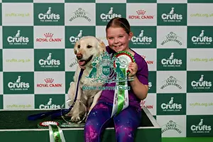 Day 3 Prints: D-C-D-0-1-9-0 Crufts 2024 NEC Birmingham Day 3