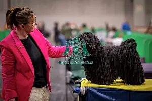 Barney Prints: D-C-D-0-1-9-0 Crufts 2024 NEC Birmingham Day 3