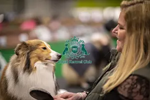 Toby Prints: D-C-D-0-1-9-0 Crufts 2024 NEC Birmingham Day 3