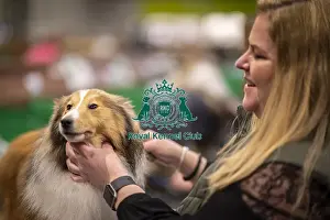 Toby Prints: D-C-D-0-1-9-0 Crufts 2024 NEC Birmingham Day 3