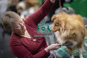 D-C-D-0-1-9-0 Crufts 2024 NEC Birmingham Day 3