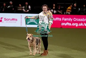 Diesel Prints: D-C-D-0-1-9-0 Crufts 2024 NEC Birmingham Day 3