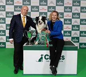 Lorna Hilton Prints: D-C-D-0-1-9-0 Crufts 2024 NEC Birmingham Day 3