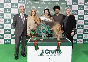 Diesel Prints: D-C-D-0-1-9-0 Crufts 2024 NEC Birmingham Day 3