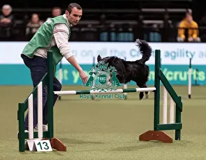 International Agility Final Prints: D-C-D-0-1-9-0 Crufts 2024 NEC Birmingham Day 3