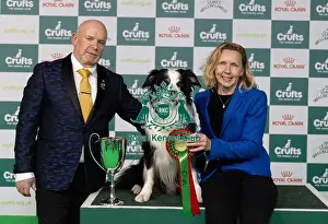 Lorna Hilton Prints: D-C-D-0-1-9-0 Crufts 2024 NEC Birmingham Day 3