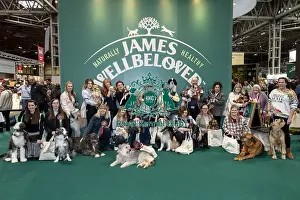 D-C-D-0-1-9-0 Crufts 2024 NEC Birmingham Day 3