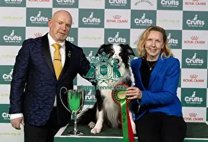 D-C-D-0-1-9-0 Crufts 2024 NEC Birmingham Day 3