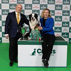 Lorna Hilton Prints: D-C-D-0-1-9-0 Crufts 2024 NEC Birmingham Day 3