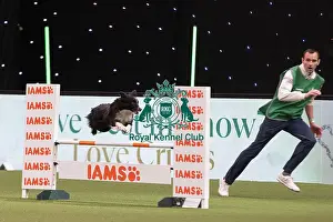 International Agility Final Prints: D-C-D-0-1-9-0 Crufts 2024 NEC Birmingham Day 3