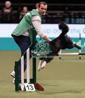 International Agility Final Prints: D-C-D-0-1-9-0 Crufts 2024 NEC Birmingham Day 3