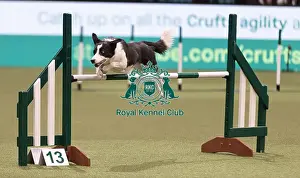 International Agility Final Prints: D-C-D-0-1-9-0 Crufts 2024 NEC Birmingham Day 3