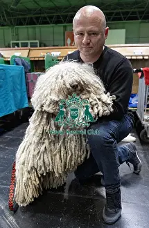 Hungarian Puli Prints: D-C-D-0-1-9-0 Crufts 2024 NEC Birmingham Day 3