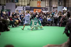 D-C-D-0-1-9-0 Crufts 2024 NEC Birmingham Day 4