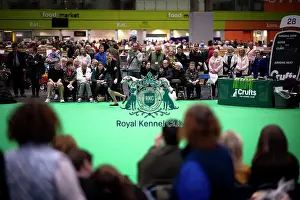 Borzoi Prints: D-C-D-0-1-9-0 Crufts 2024 NEC Birmingham Day 4