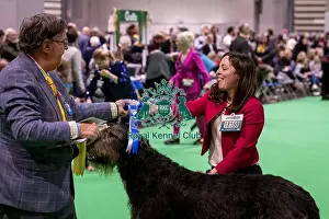 Irish Wolfhound Prints: D-C-D-0-1-9-0 Crufts 2024 NEC Birmingham Day 4