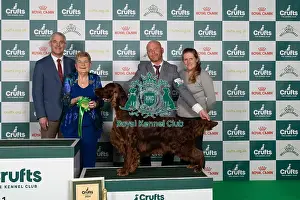 Irish Setter Prints: D-C-D-0-1-9-0 Crufts 2024 NEC Birmingham Gundog