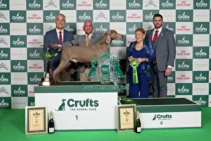 Hendricks Prints: D-C-D-0-1-9-0 Crufts 2024 NEC Birmingham Gundog