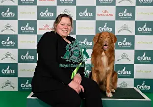 Retriever Nova Scotia Duck Tolling Prints: D-C-D-0-1-9-0 Crufts 2024 NEC Birmingham Gundog