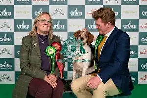 Toby Prints: D-C-D-0-1-9-0 Crufts 2024 NEC Birmingham Gundog