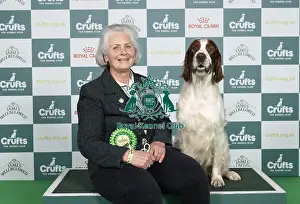 Arthur Prints: D-C-D-0-1-9-0 Crufts 2024 NEC Birmingham Gundog