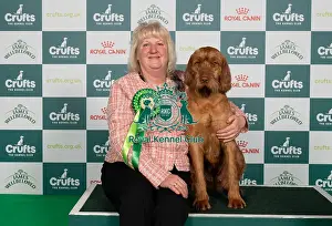 Hungarian Wirehaired Vizsla Prints: D-C-D-0-1-9-0 Crufts 2024 NEC Birmingham Gundog