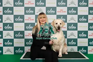 Retriever Golden Prints: D-C-D-0-1-9-0 Crufts 2024 NEC Birmingham Gundog