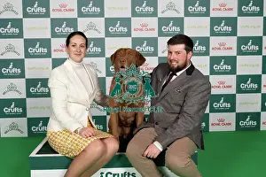 Day 2 Prints: D-C-D-0-1-9-0 Crufts 2024 NEC Birmingham Gundog