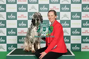 Day 2 Prints: D-C-D-0-1-9-0 Crufts 2024 NEC Birmingham Gundog
