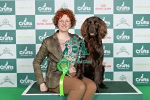 German Longhaired Pointer Prints: D-C-D-0-1-9-0 Crufts 2024 NEC Birmingham Gundog