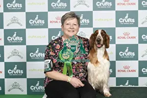 D-C-D-0-1-9-0 Crufts 2024 NEC Birmingham Gundog