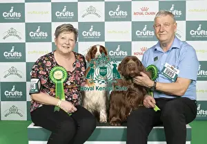 D-C-D-0-1-9-0 Crufts 2024 NEC Birmingham Gundog