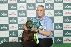 Spaniel Sussex Prints: D-C-D-0-1-9-0 Crufts 2024 NEC Birmingham Gundog
