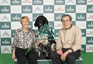 Lexi Prints: D-C-D-0-1-9-0 Crufts 2024 NEC Birmingham Gundog
