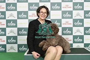 Lagotto Romagnolo Prints: D-C-D-0-1-9-0 Crufts 2024 NEC Birmingham Gundog