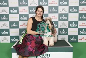 Basset Griffon Vendeen Grand Prints: D-C-D-0-1-9-0 Crufts 2024 NEC Birmingham Hound