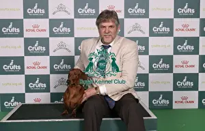 Dachshund Smooth Haired Prints: D-C-D-0-1-9-0 Crufts 2024 NEC Birmingham Hound
