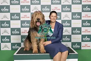 Otterhound Prints: D-C-D-0-1-9-0 Crufts 2024 NEC Birmingham Hound