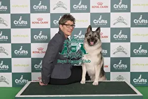 Norwegian Elkhound Prints: D-C-D-0-1-9-0 Crufts 2024 NEC Birmingham Hound