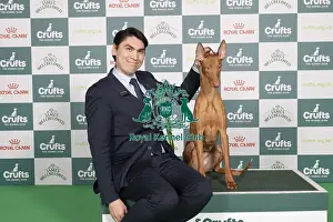 D-C-D-0-1-9-0 Crufts 2024 NEC Birmingham Hound