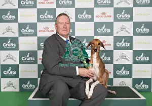 D-C-D-0-1-9-0 Crufts 2024 NEC Birmingham Hound