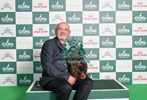 D-C-D-0-1-9-0 Crufts 2024 NEC Birmingham Hound