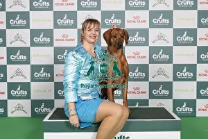 Rhodesian Ridgeback Prints: D-C-D-0-1-9-0 Crufts 2024 NEC Birmingham Hound