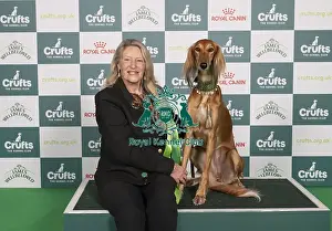 Mini Prints: D-C-D-0-1-9-0 Crufts 2024 NEC Birmingham Hound
