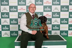 Hound Prints: D-C-D-0-1-9-0 Crufts 2024 NEC Birmingham Hound