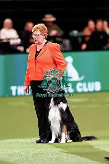 Carolyn Heath Prints: D-C-D-0-1-9-0 Crufts 2024 NEC Birmingham Pastoral