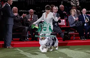 Melanie Raymond Prints: D-C-D-0-1-9-0 Crufts 2024 NEC Birmingham Pastoral