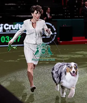 Melanie Raymond Prints: D-C-D-0-1-9-0 Crufts 2024 NEC Birmingham Pastoral