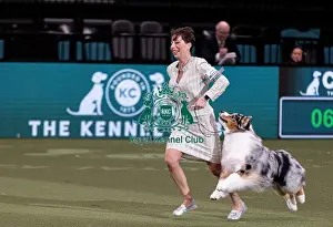 Melanie Raymond Prints: D-C-D-0-1-9-0 Crufts 2024 NEC Birmingham Pastoral